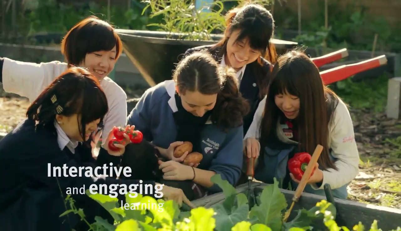 video screenshot of international students picking tomatoes in the garden
